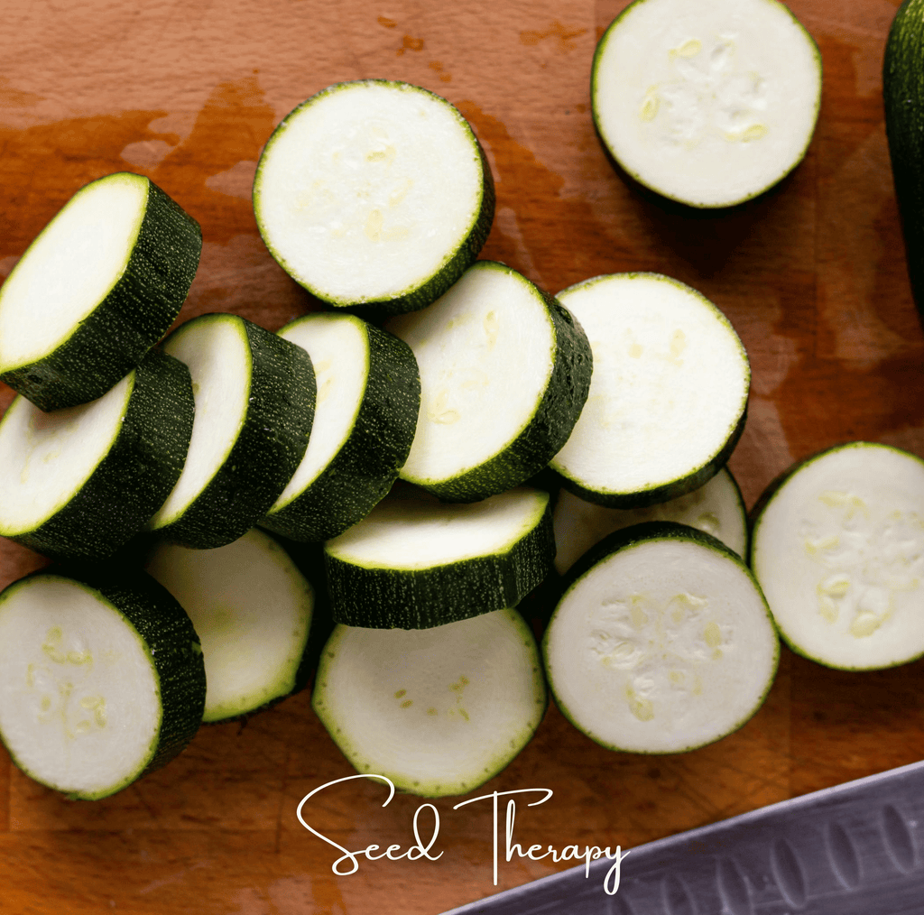 Black Beauty Summer Zucchini Squash – 25 Seeds Southern Seeds