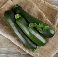 Dark Green Zucchini Summer Squash – 25 Seeds Southern Seeds