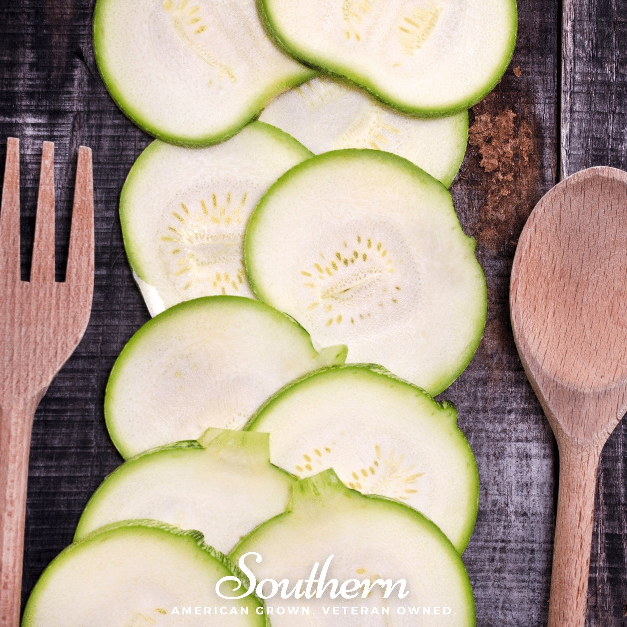 Zucchini Round Summer Squash – 25 Seeds Southern Seeds