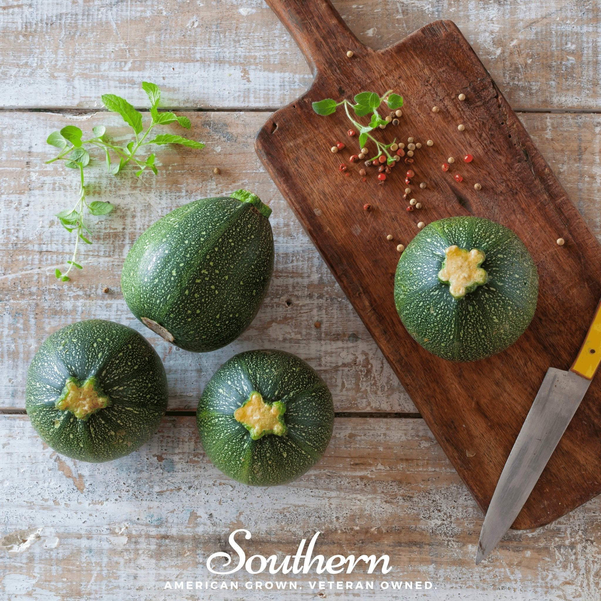 Zucchini Round Summer Squash – 25 Seeds Southern Seeds