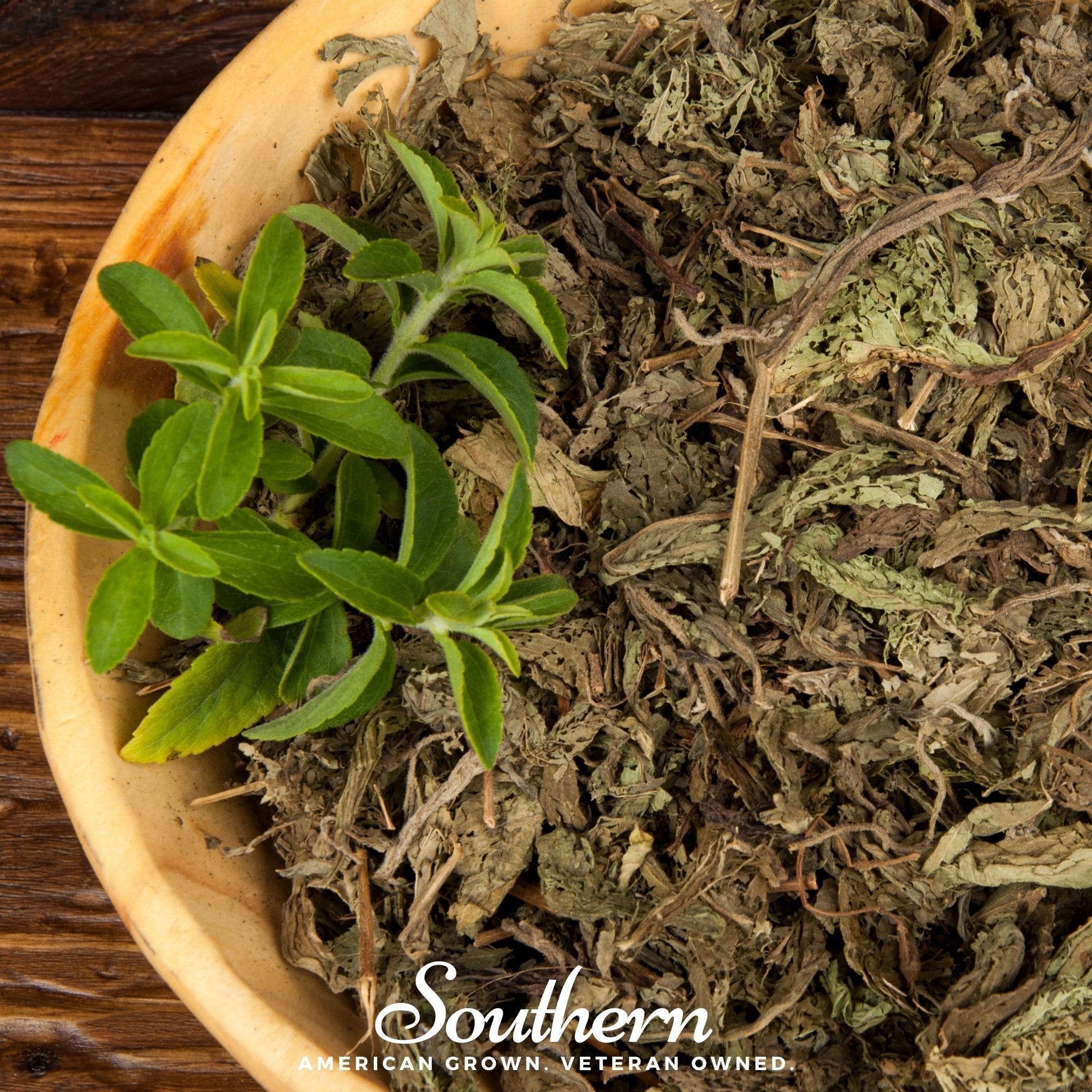 Stevia – 50 Seeds Southern Seeds