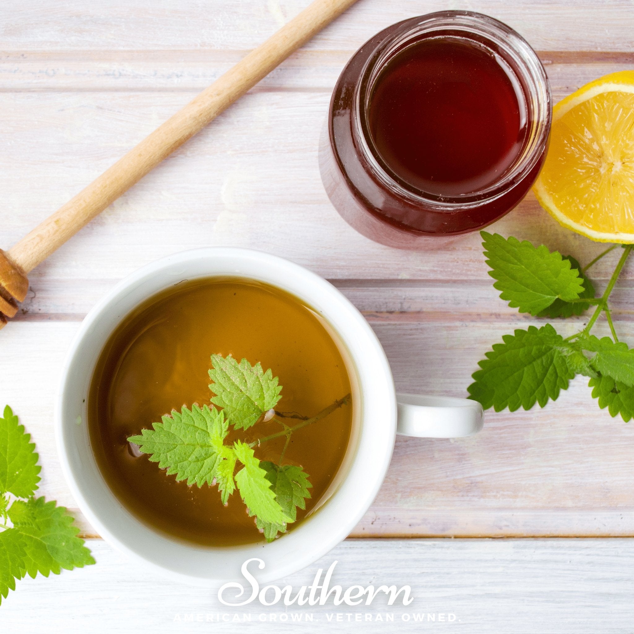 Stinging Nettle – 100 Seeds Southern Seeds