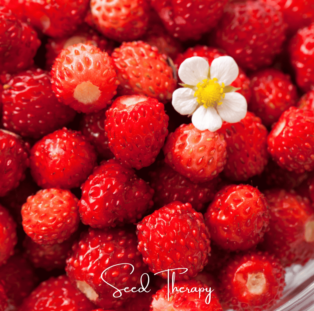 Wild Red Strawberry – 200 Seeds Southern Seeds