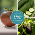 Summer Garden Seed Collection – 10 Heat Loving Varieties Southern Seeds