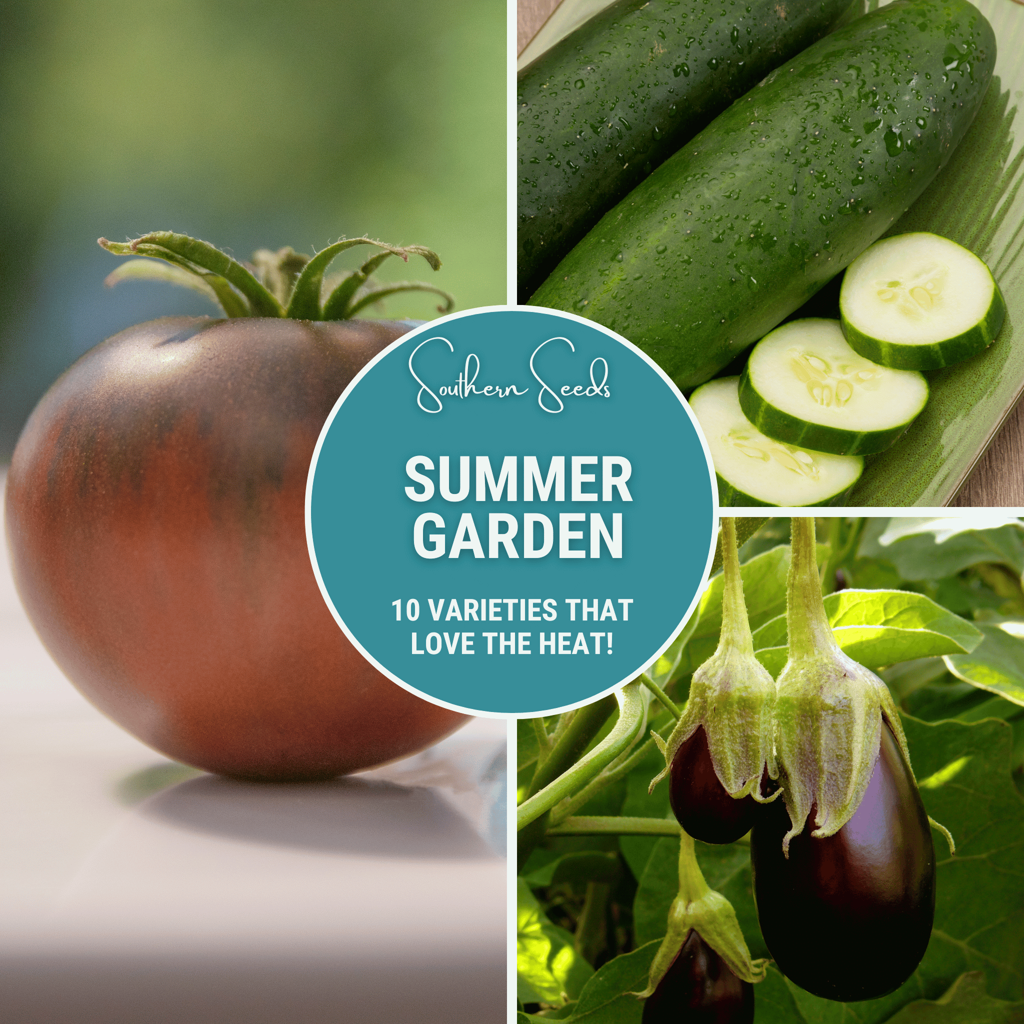 Summer Garden Seed Collection – 10 Heat Loving Varieties Southern Seeds