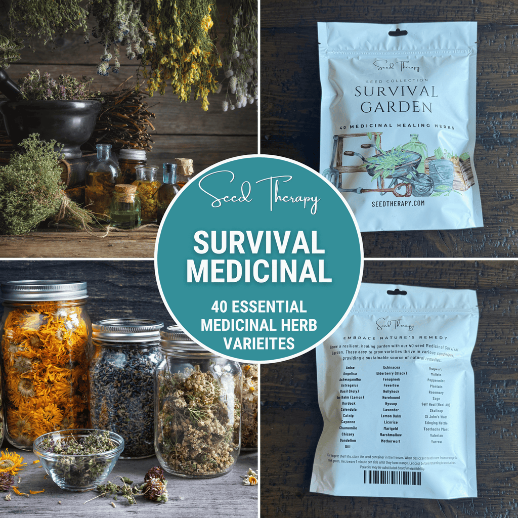 Survival Medicinal Herb Garden – 40 Essential Varieties Southern Seeds
