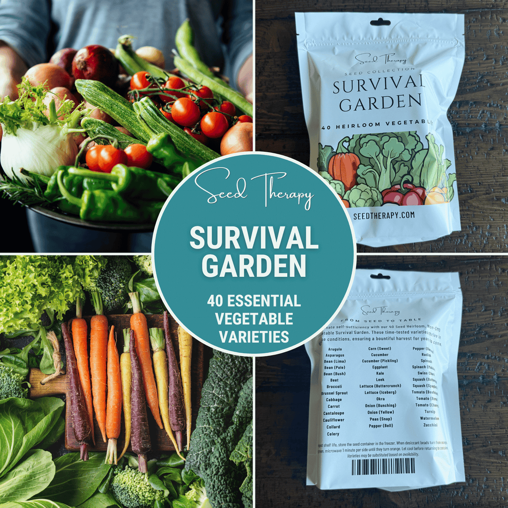 Survival Garden Combo – 40 Vegetable & 40 Medicinal Herb Varieties Southern Seeds