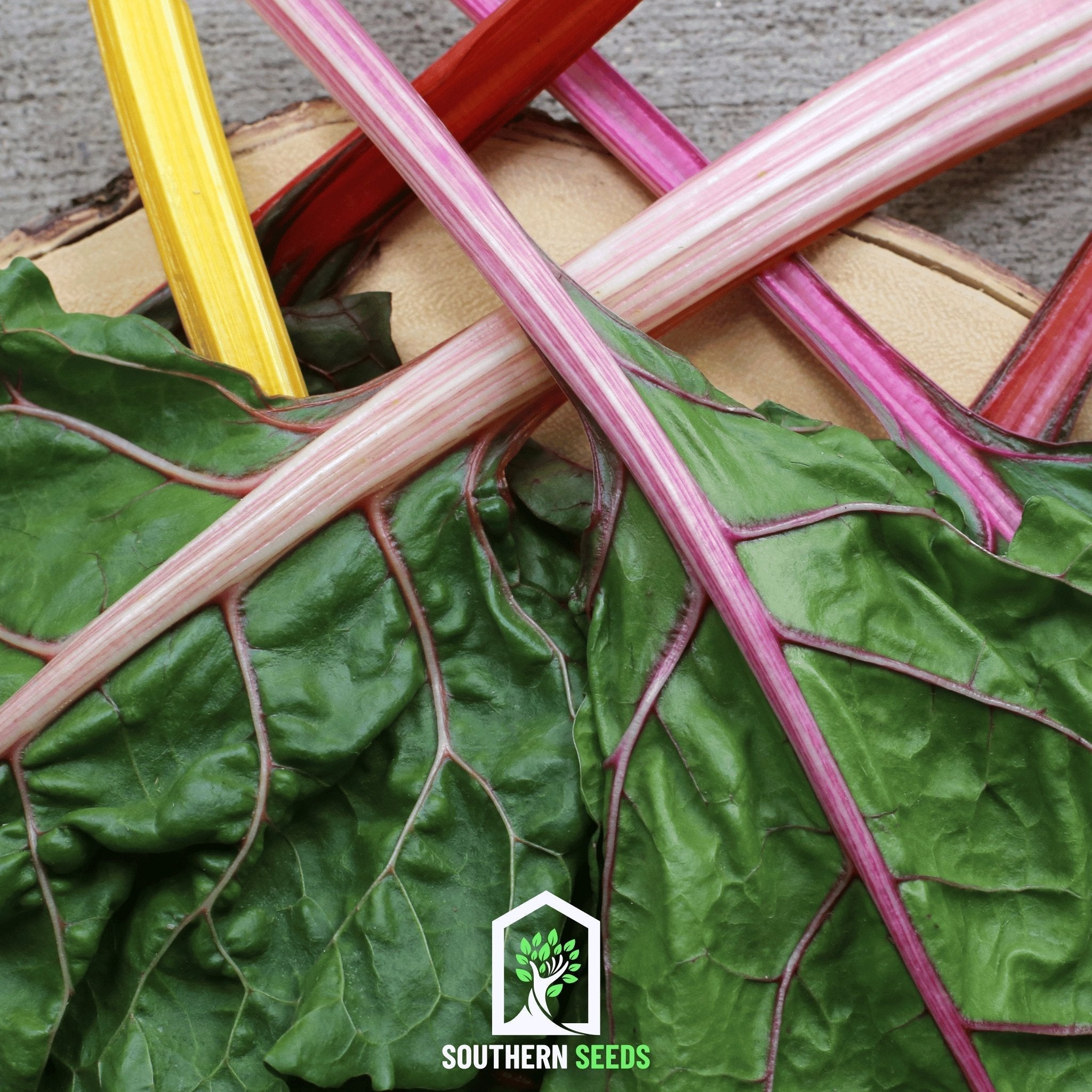 Rainbow Swiss Chard – 150 Seeds Southern Seeds