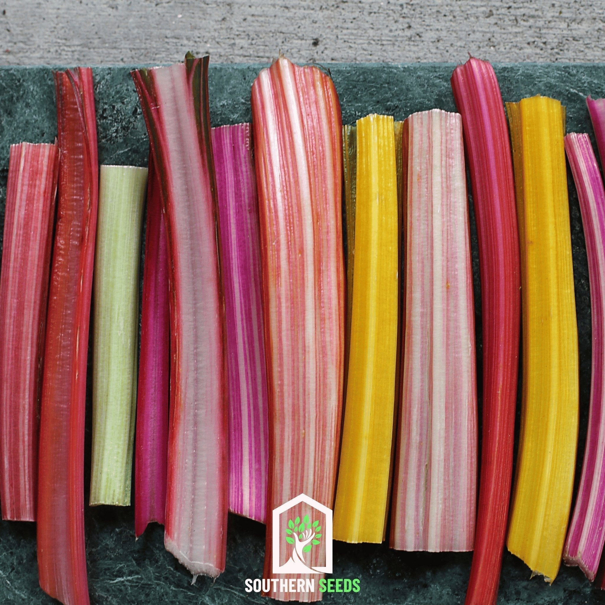 Rainbow Swiss Chard – 150 Seeds Southern Seeds