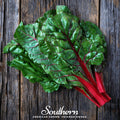 Ruby Red Swiss Chard – 100 Seeds Southern Seeds