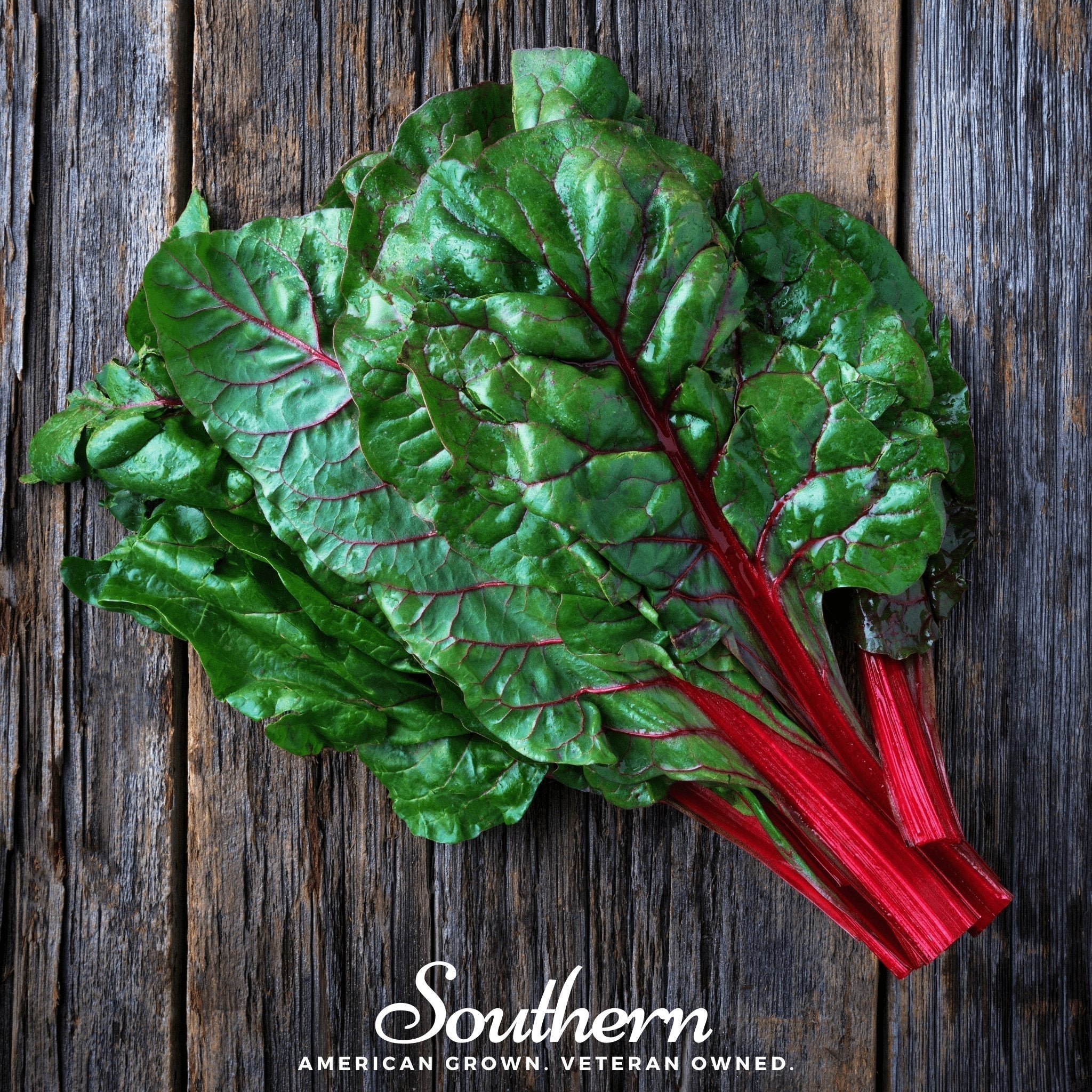 Ruby Red Swiss Chard – 100 Seeds Southern Seeds