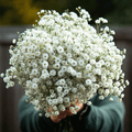 The Pearl Yarrow – 100 Seeds Southern Seeds