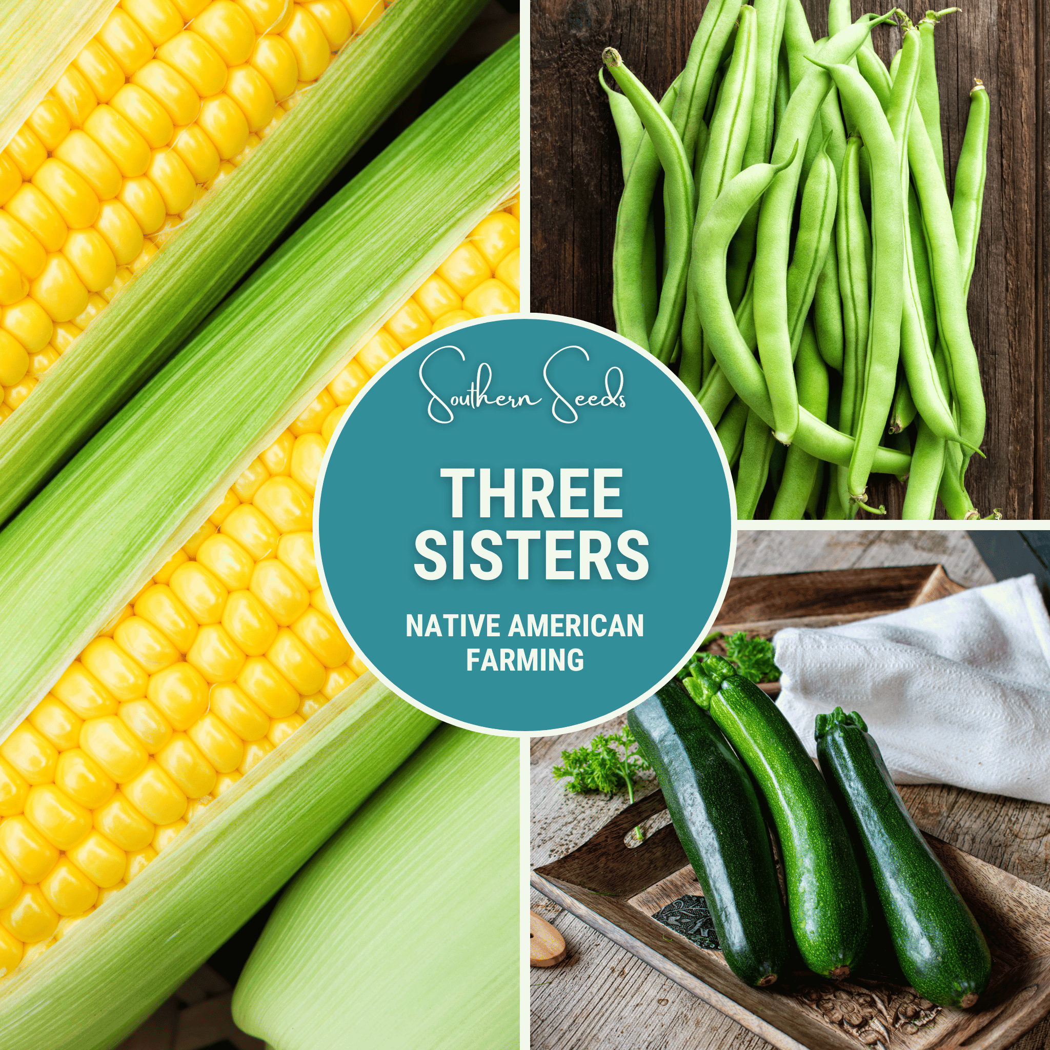 Three Sisters Seed Collection – Native American Farming – Corn, Bean, Squash Southern Seeds