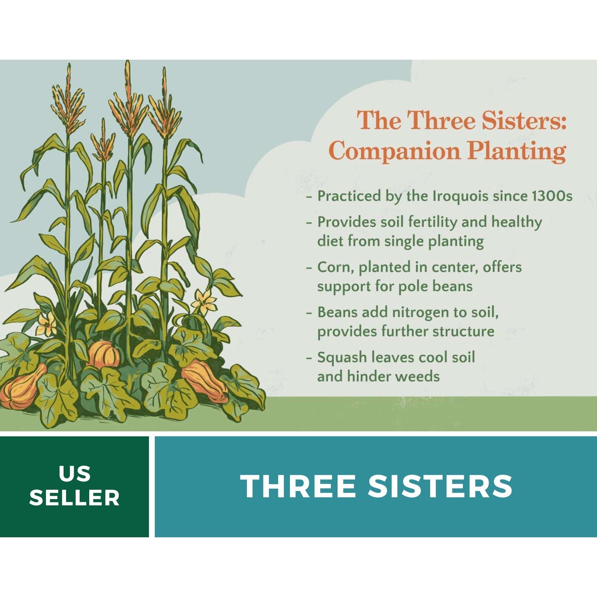 Three Sisters Seed Collection – Native American Farming – Corn, Bean, Squash Southern Seeds