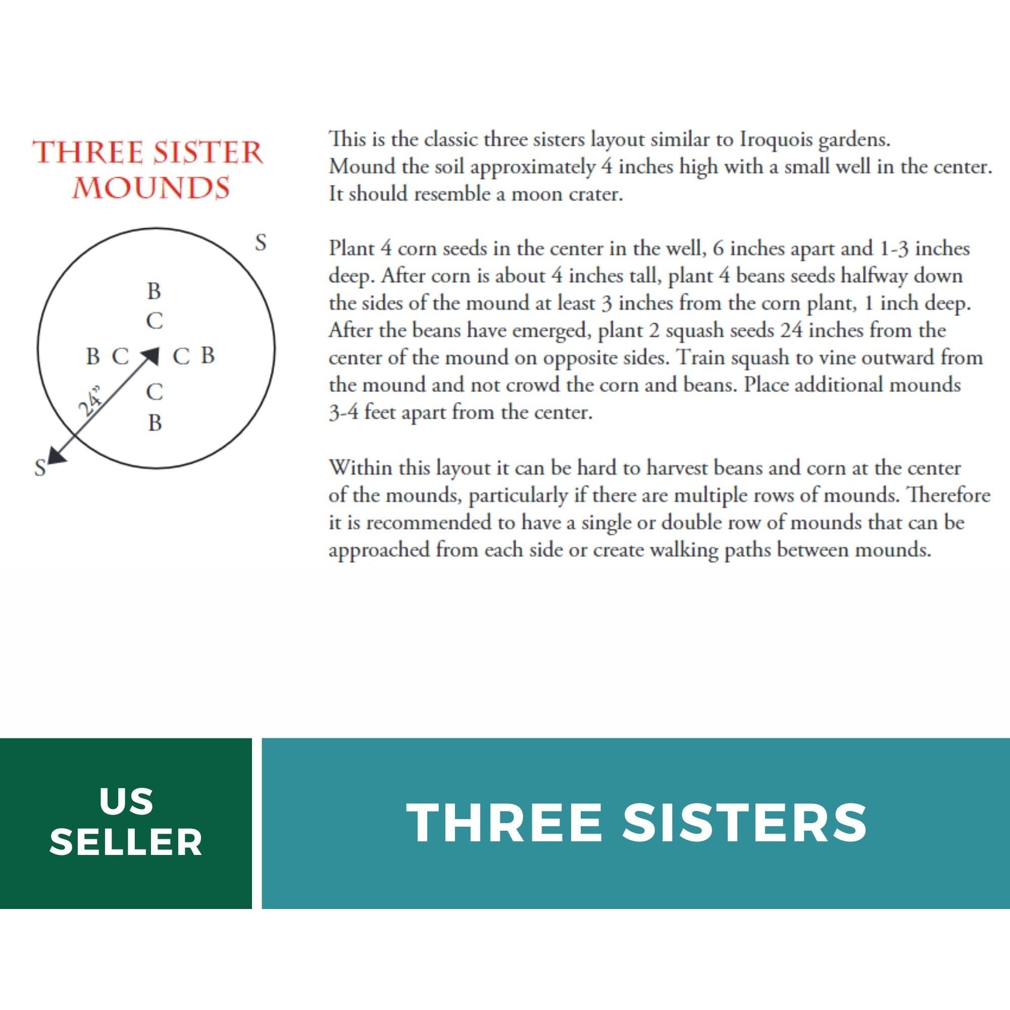 Three Sisters Seed Collection – Native American Farming – Corn, Bean, Squash Southern Seeds