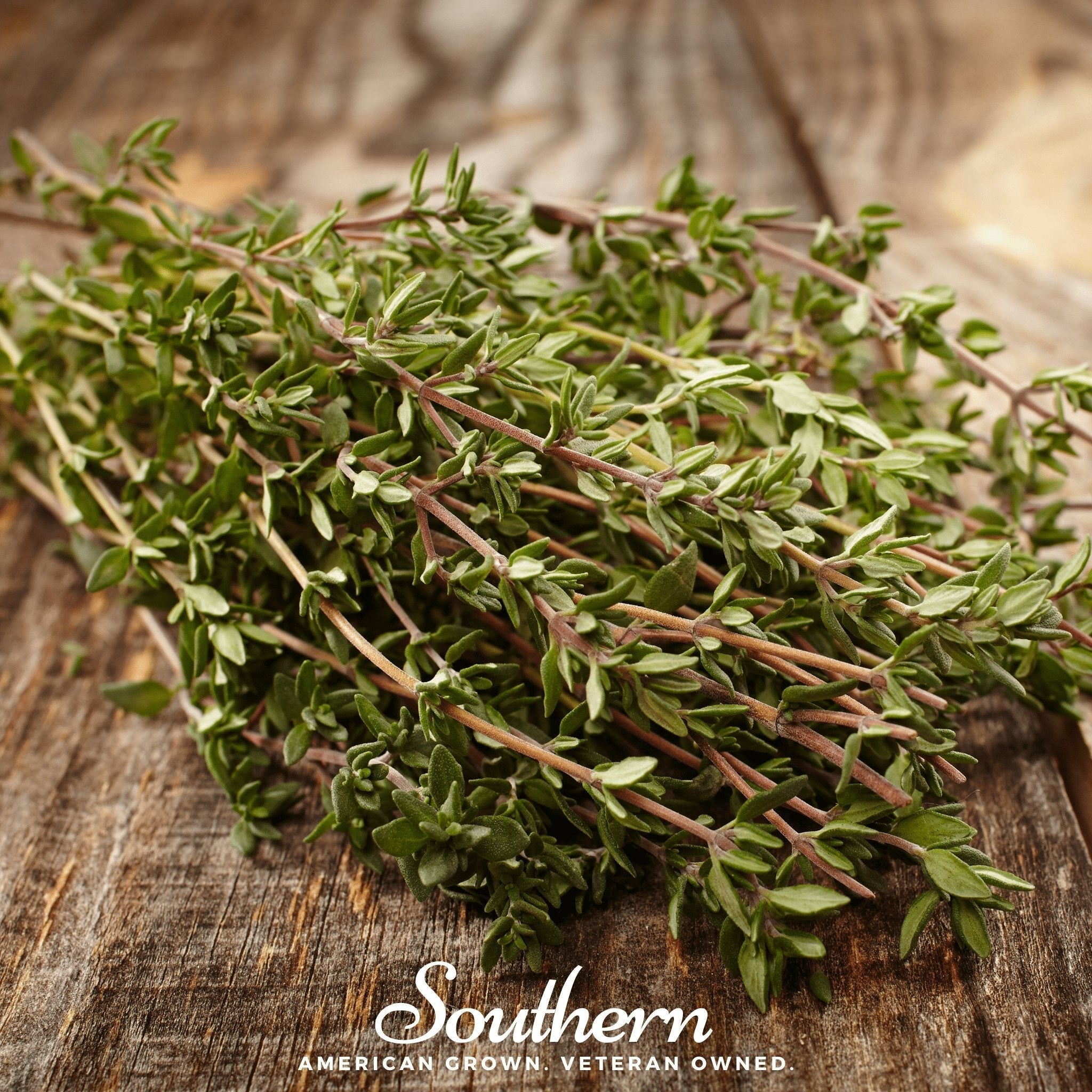 Common Thyme – 250 Seeds Southern Seeds