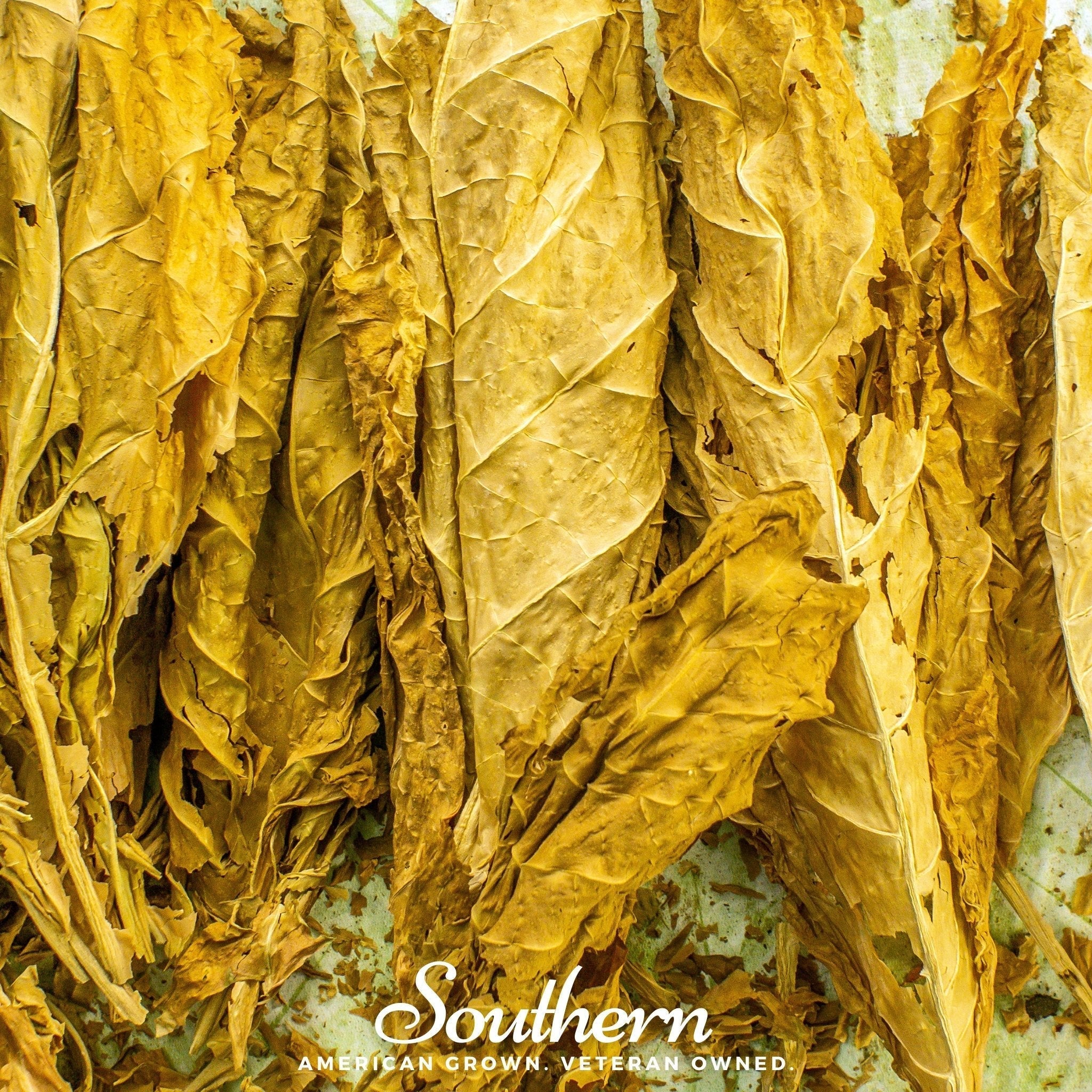 Virginia Gold Tobacco – 500 Seeds Southern Seeds