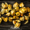 Husk Cherry Tomatillo – 20 Seeds Southern Seeds