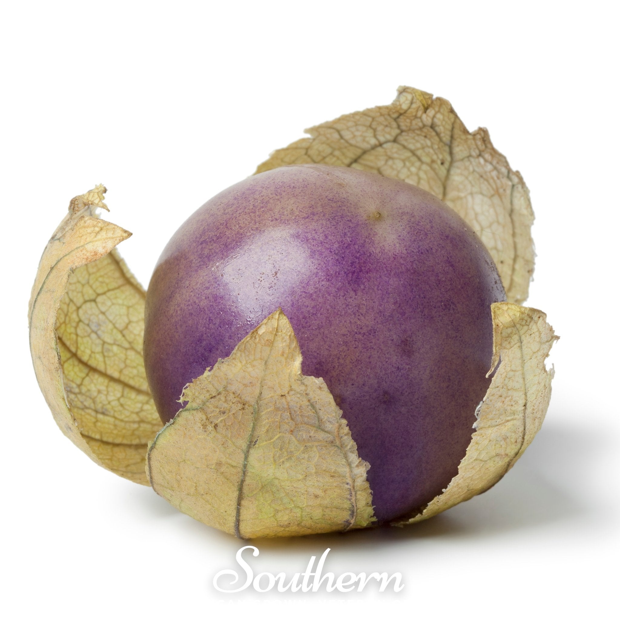 Purple Tomatillo – 30 Seeds Southern Seeds