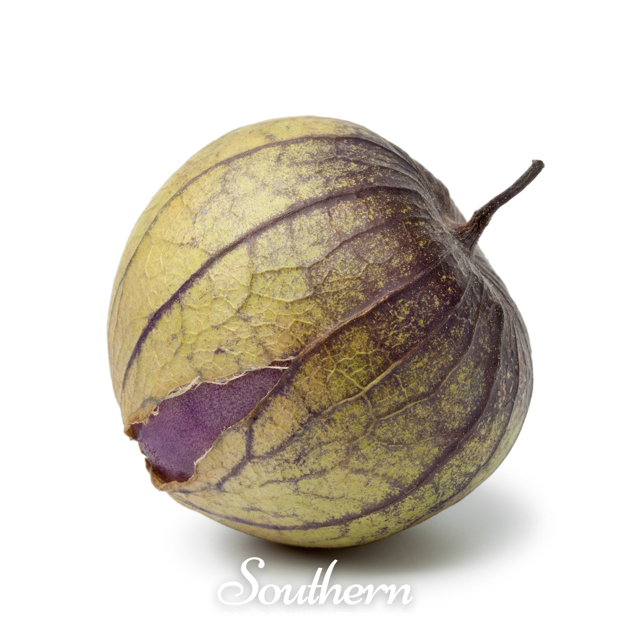 Purple Tomatillo – 30 Seeds Southern Seeds