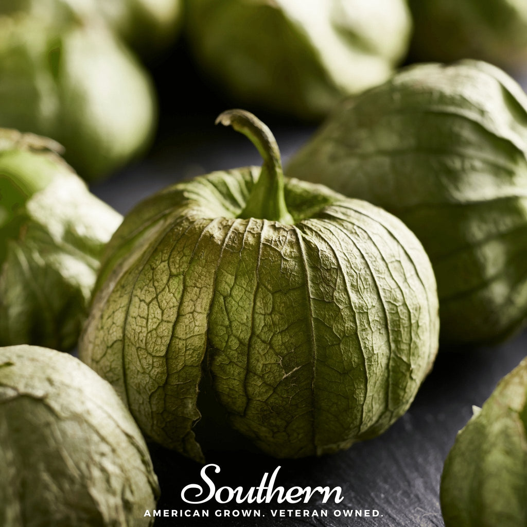 Verde Rio Grande Tomatillo – 50 Seeds Southern Seeds