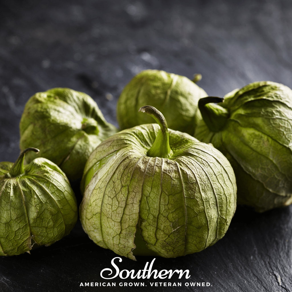 Verde Rio Grande Tomatillo – 50 Seeds Southern Seeds