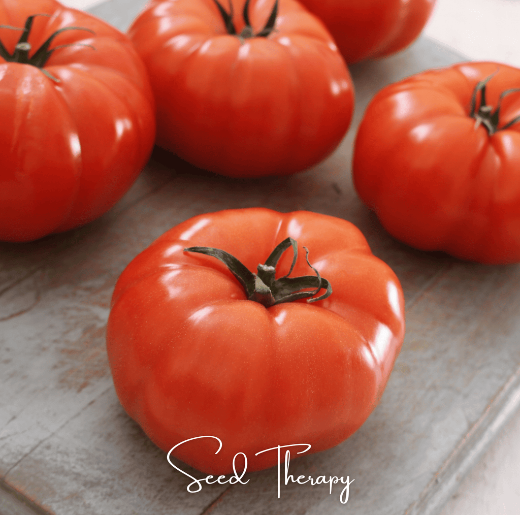 Beefsteak Tomato – 30 Seeds Southern Seeds