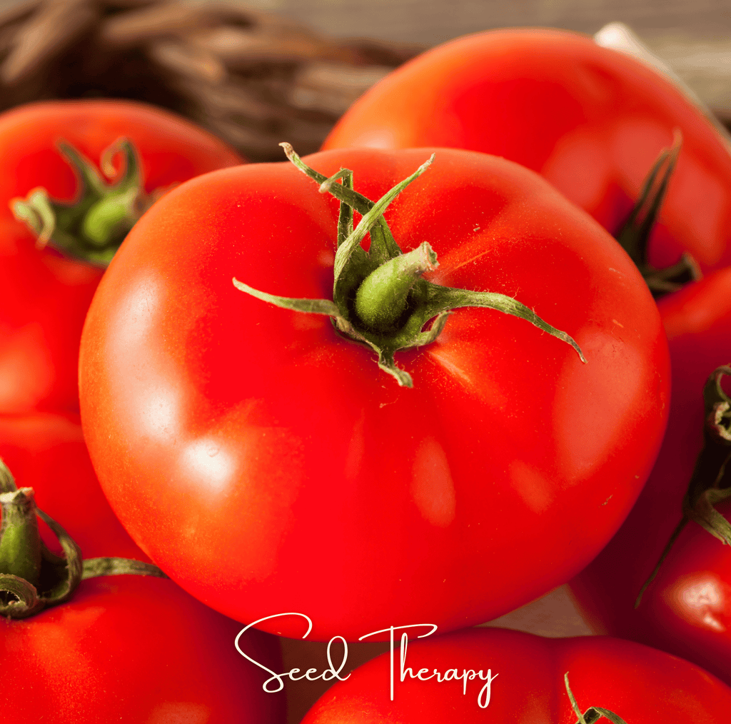 Beefsteak Tomato – 30 Seeds Southern Seeds