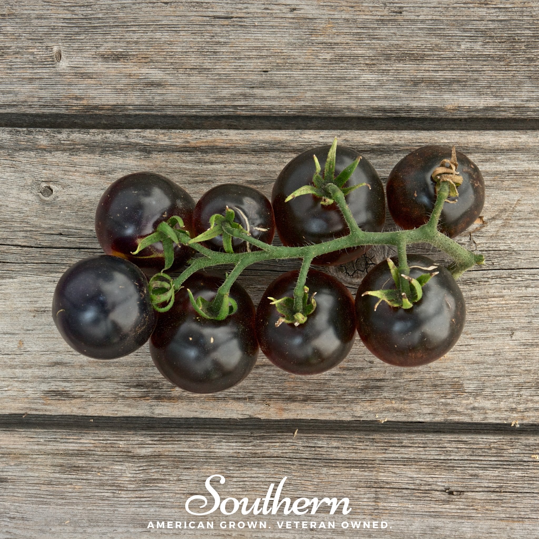 Black Cherry Tomato – 20 Seeds Southern Seeds