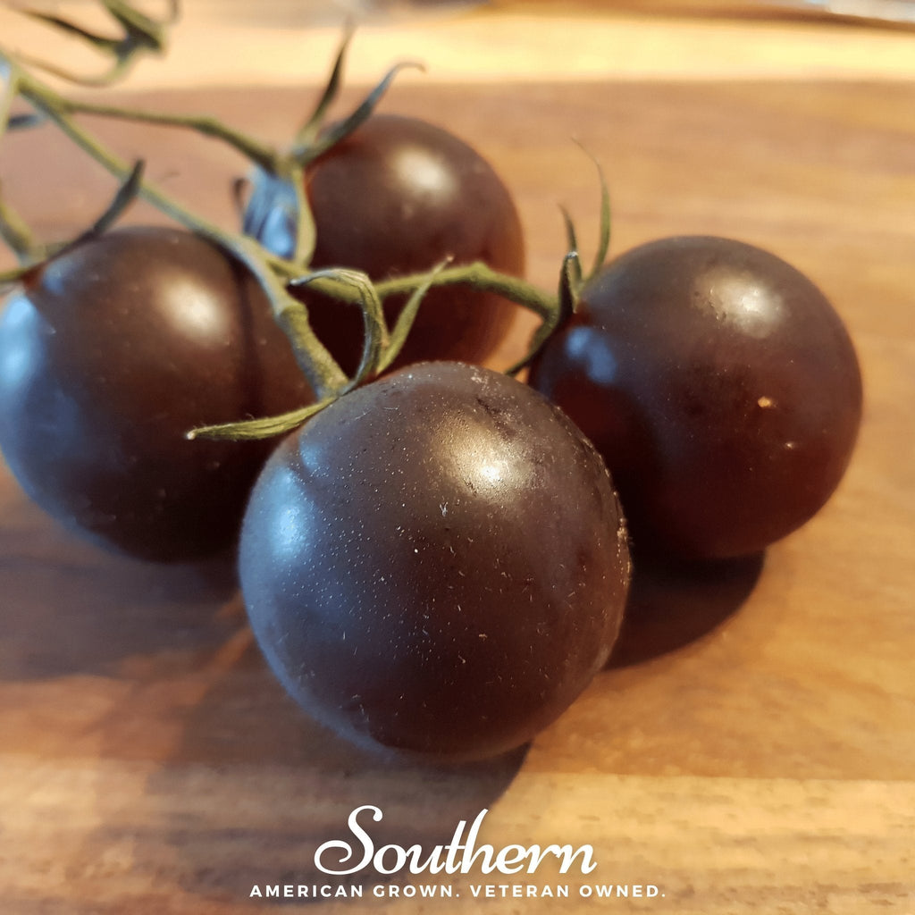 Black Prince Tomato – 50 Seeds Southern Seeds