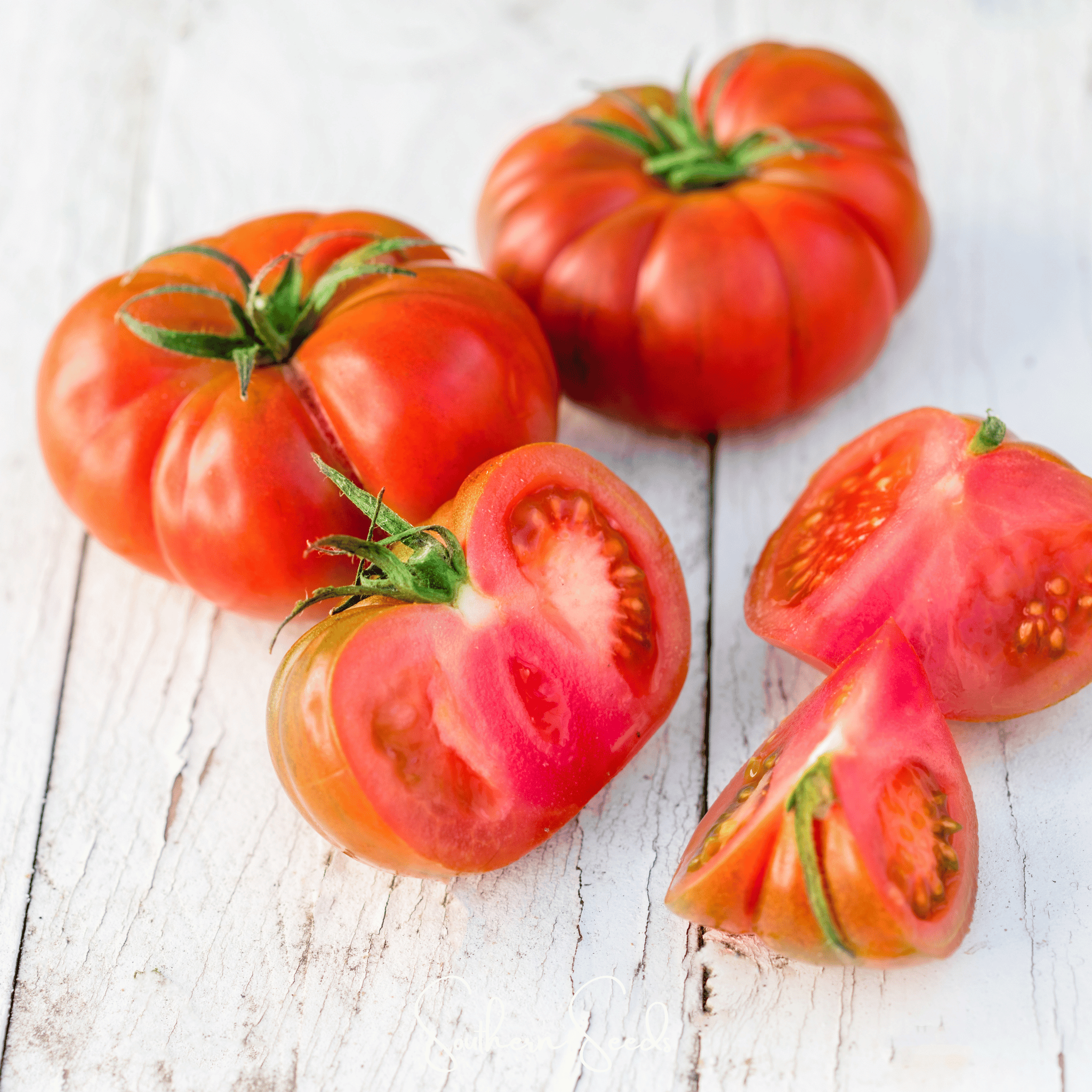 Red Brandywine Tomato –  50 Seeds Southern Seeds