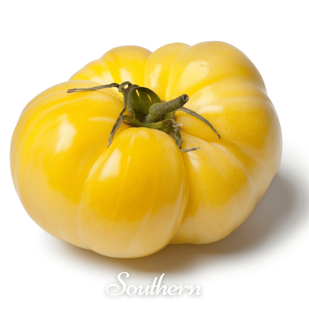 Yellow Brandywine Tomato – 50 Seeds Southern Seeds