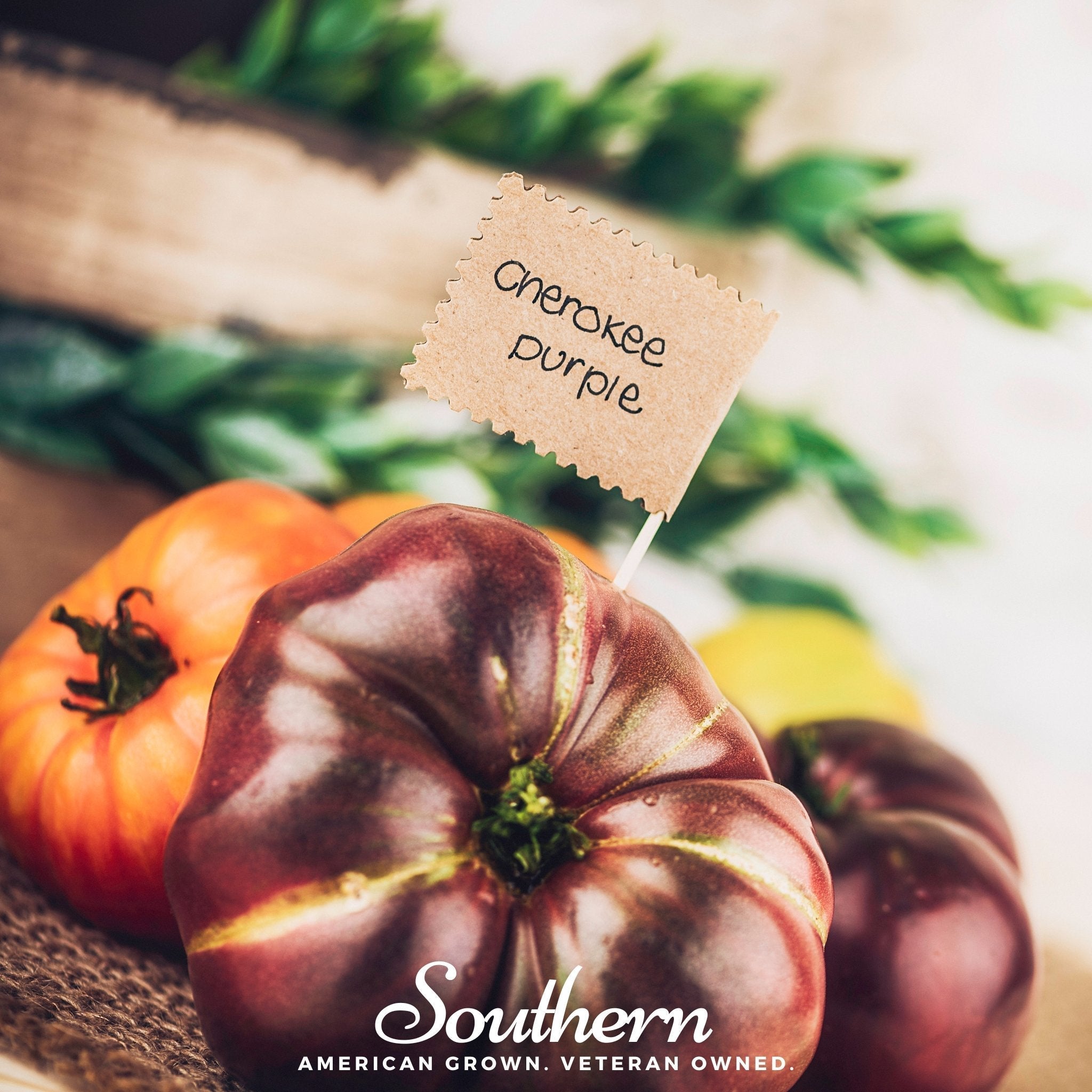 Cherokee Purple Tomato – 50 Seeds Southern Seeds