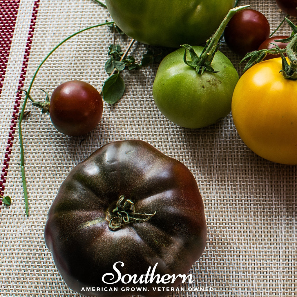Cherokee Purple Tomato – 50 Seeds Southern Seeds