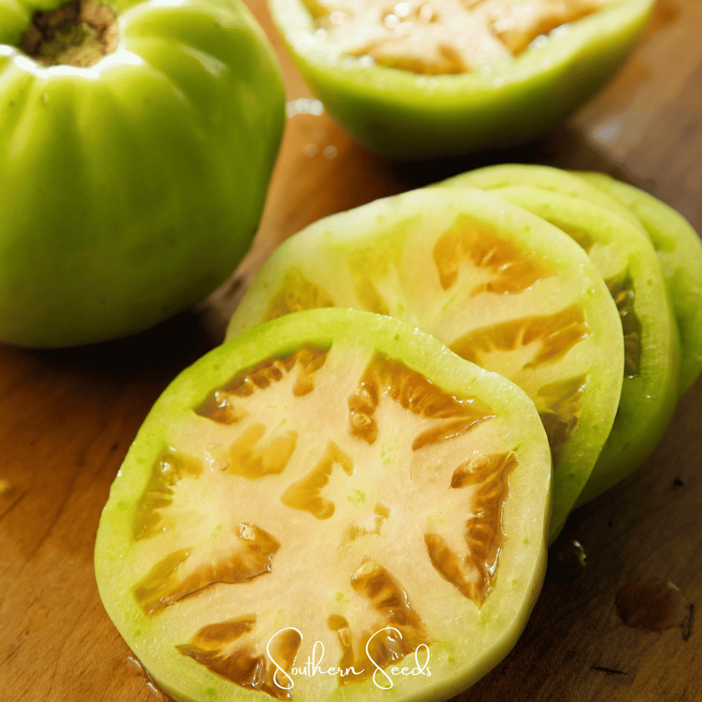 Evergreen Tomato – 50 Seeds Southern Seeds