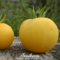 Garden Peach Tomato – 50 Seeds Southern Seeds