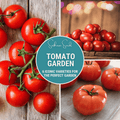 Tomato Garden Seed Collection – 6 Varieties Southern Seeds