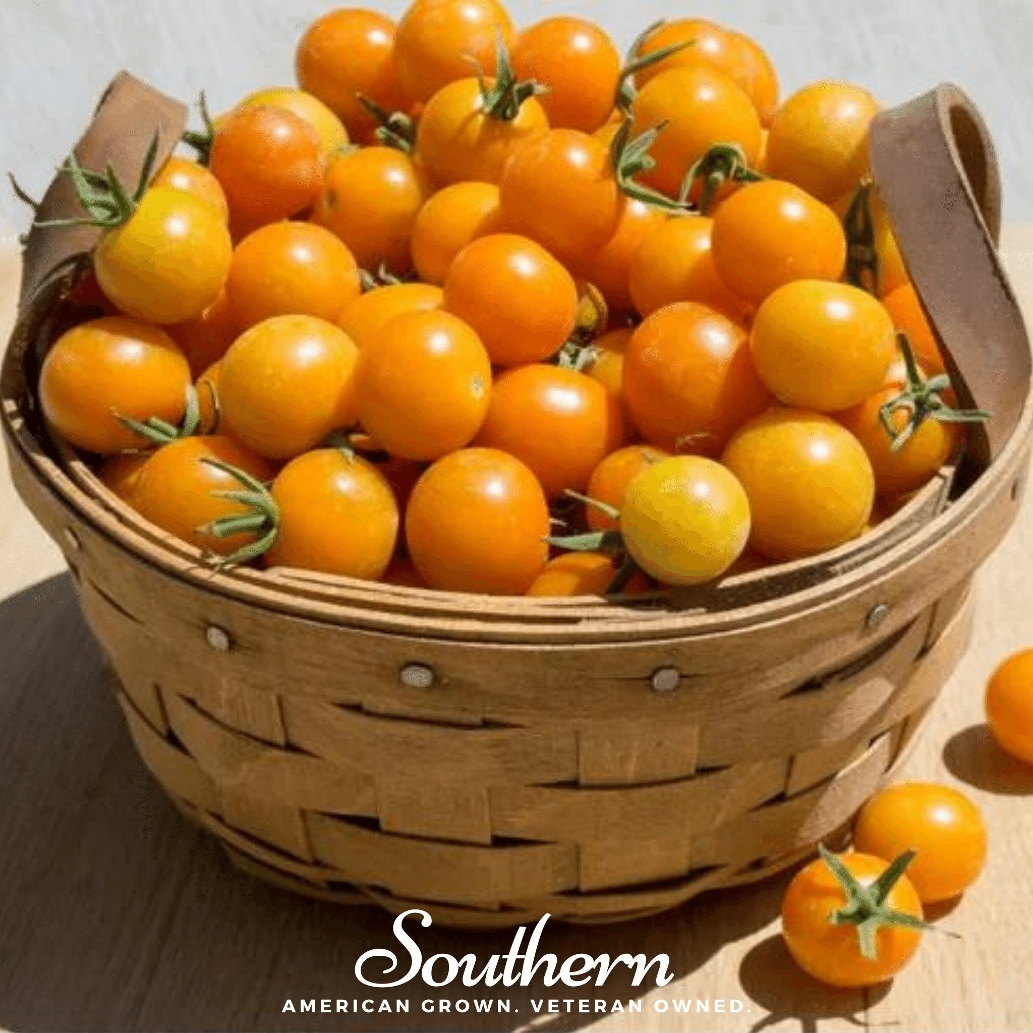 Gold Nugget Tomato – 50 Seeds Southern Seeds
