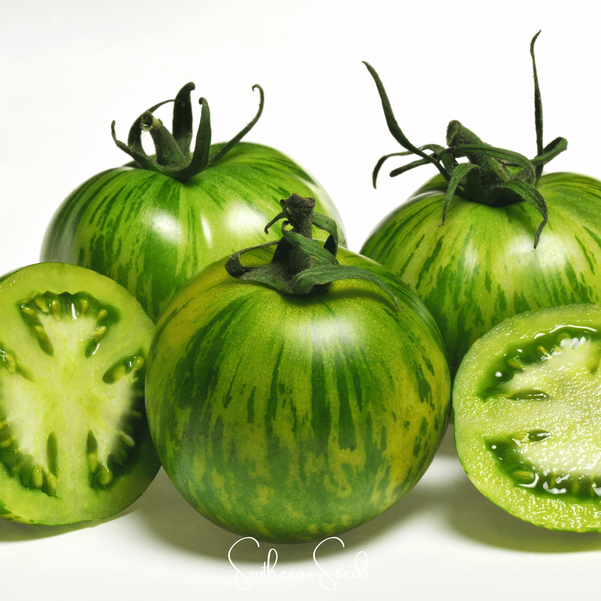 Green Zebra Tomato – 50 Seeds Southern Seeds
