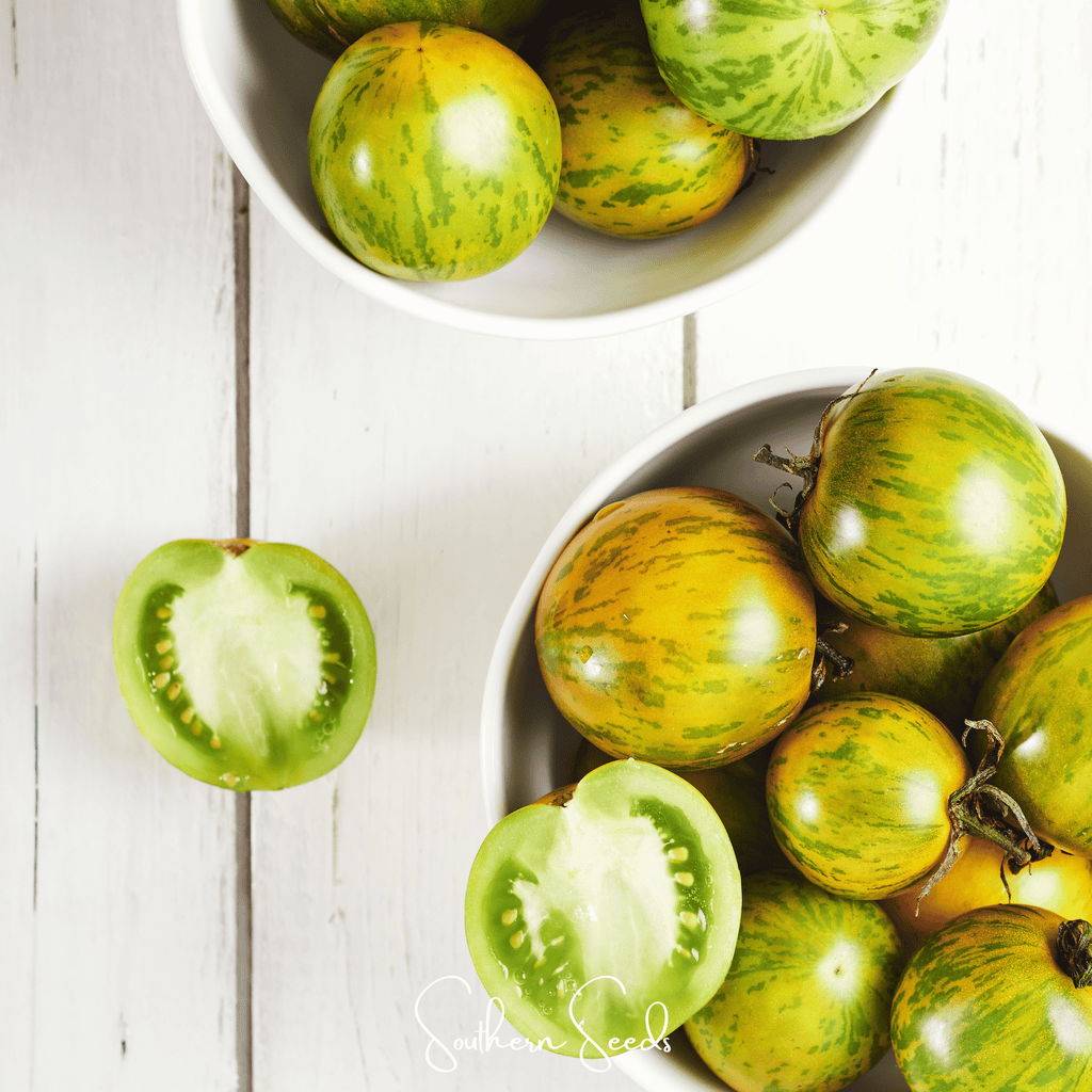 Green Zebra Tomato – 50 Seeds Southern Seeds