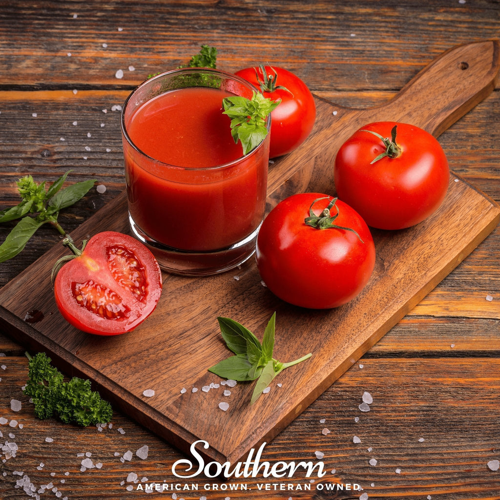 Homestead Tomato – 50 Seeds Southern Seeds