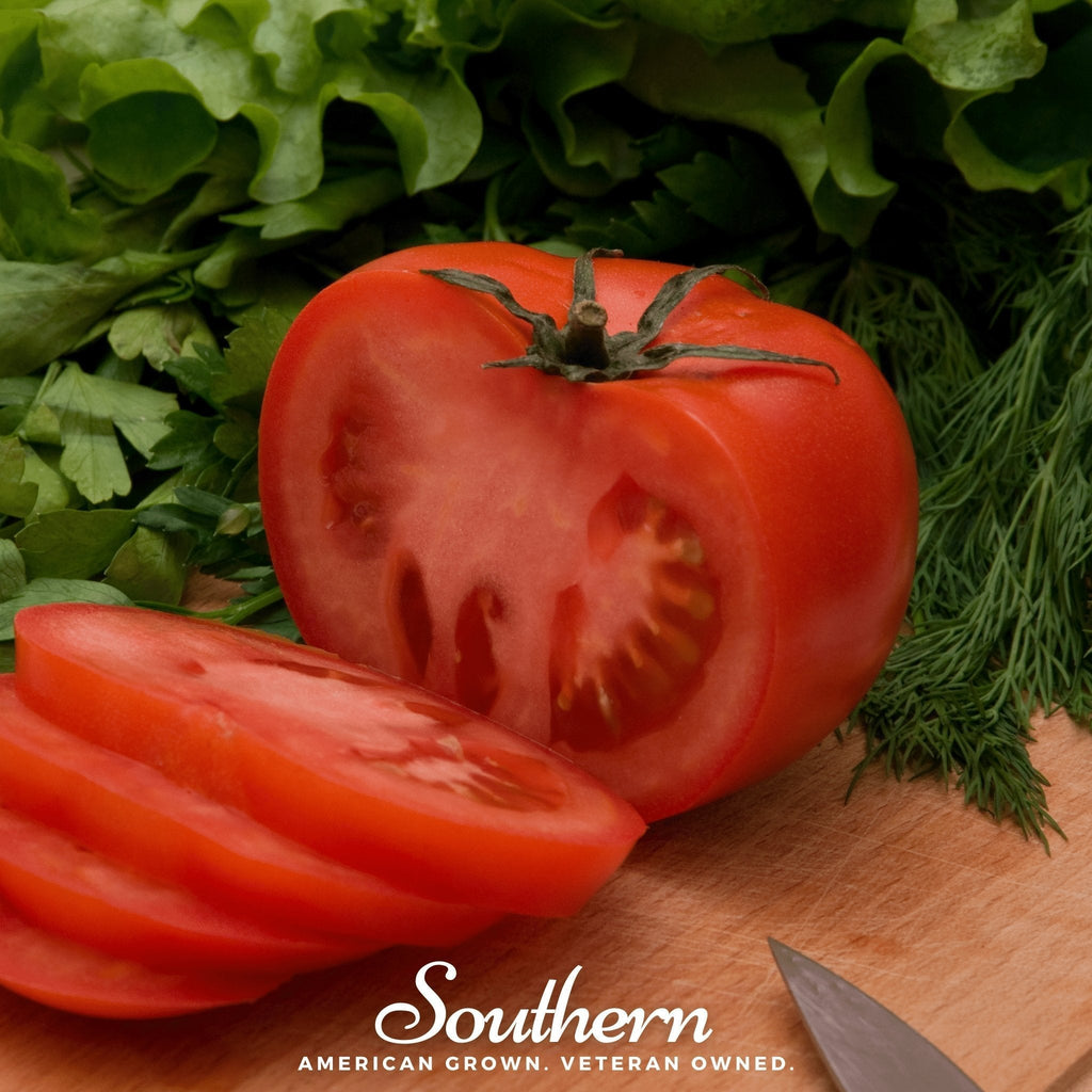 Homestead Tomato – 50 Seeds Southern Seeds