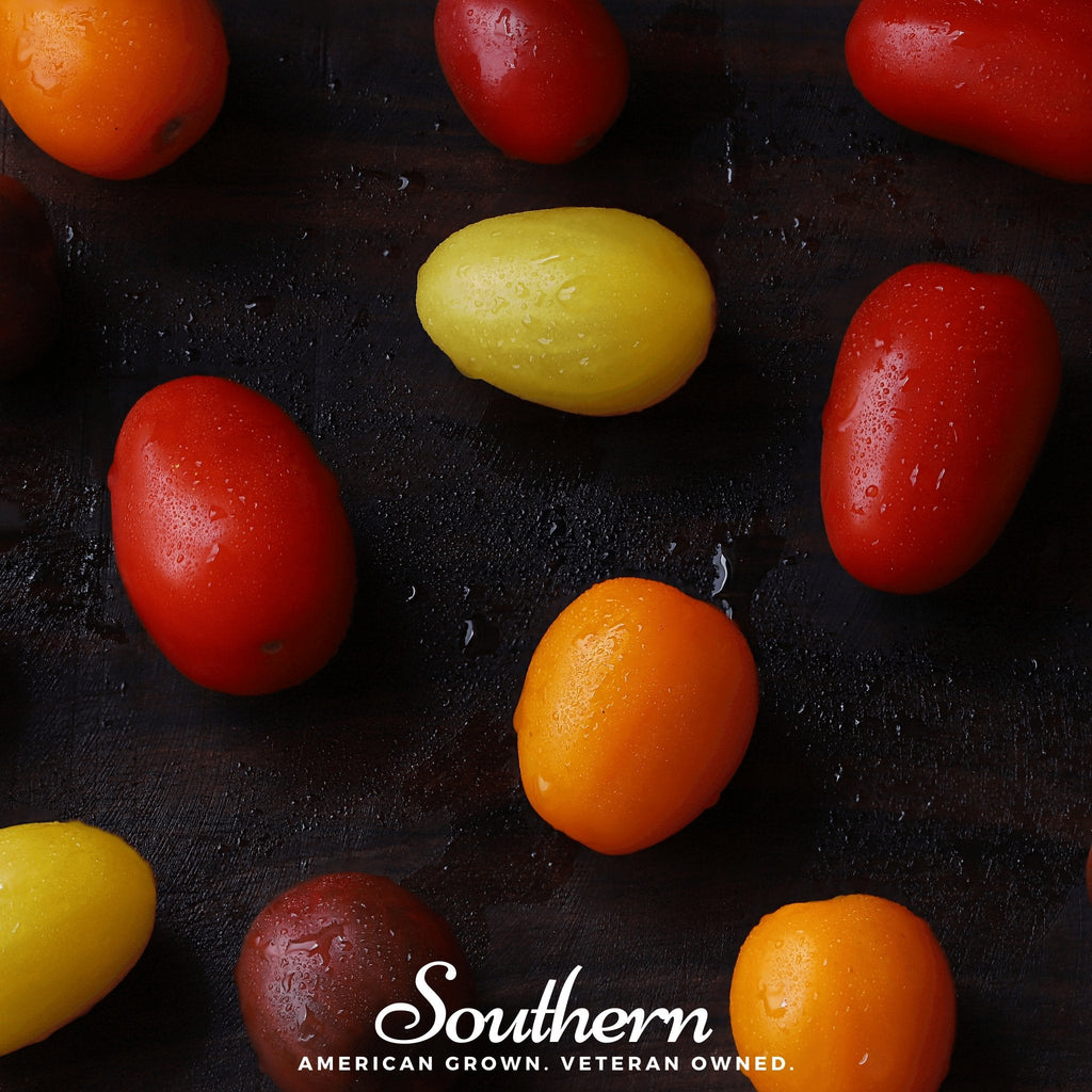 Rainbow Cherry Tomato – 50 Seeds Southern Seeds