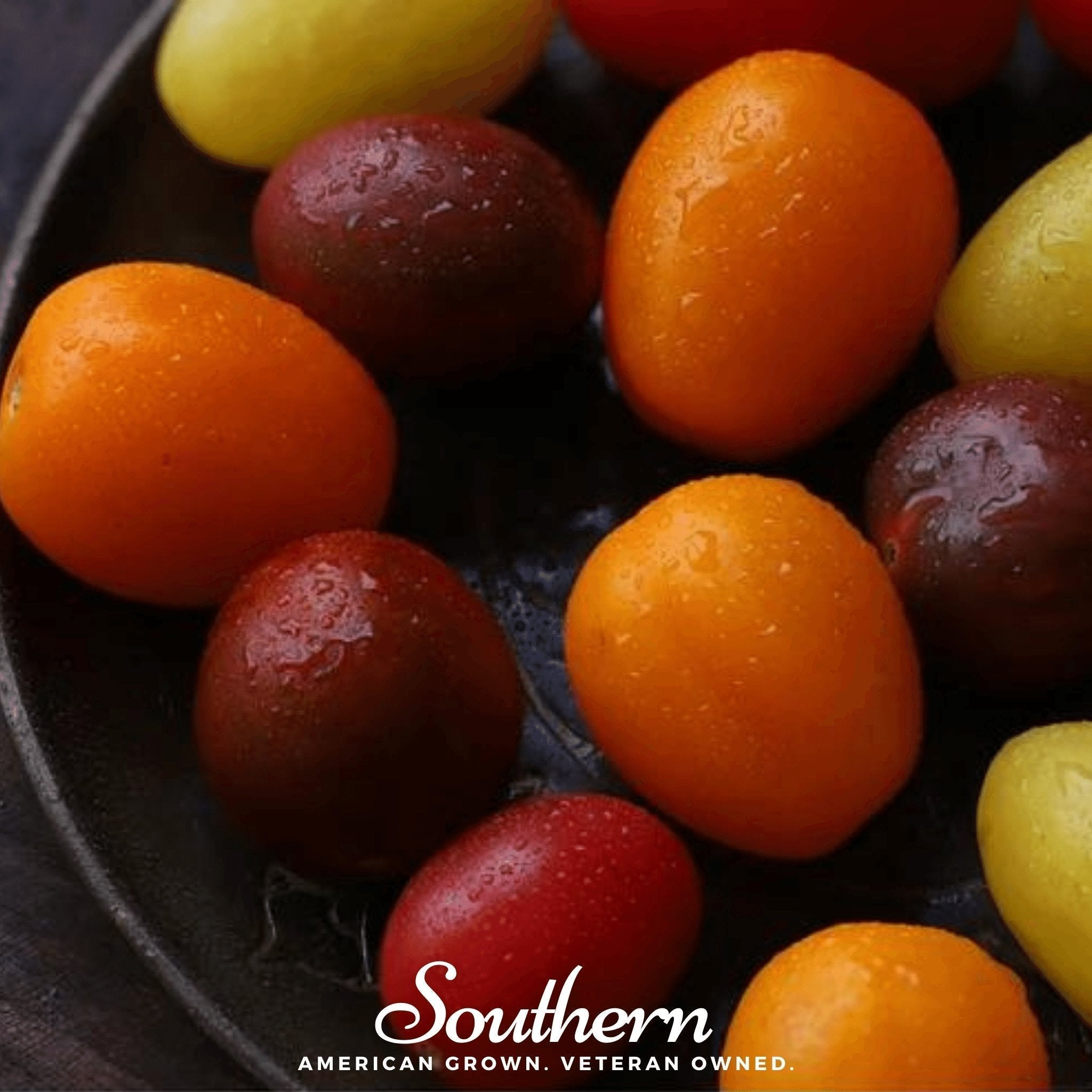 Rainbow Cherry Tomato – 50 Seeds Southern Seeds