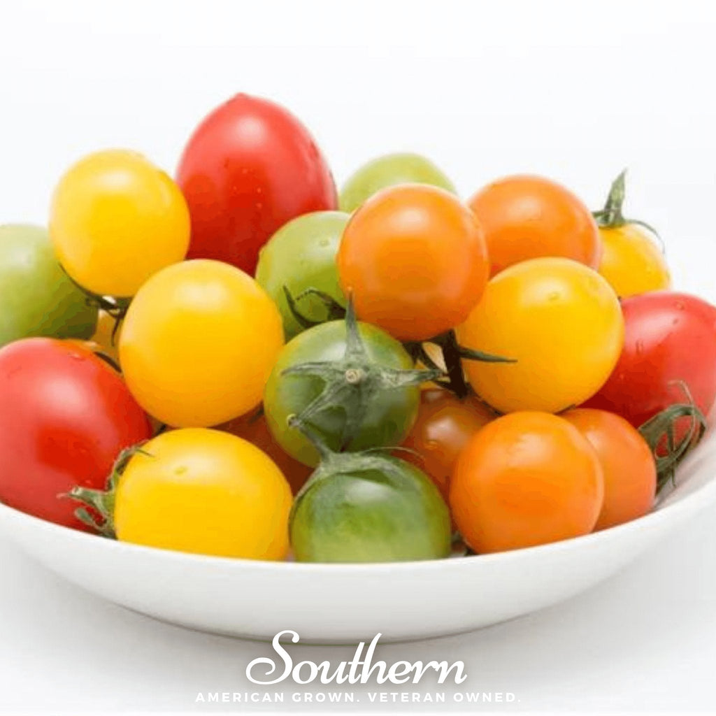 Rainbow Cherry Tomato – 50 Seeds Southern Seeds