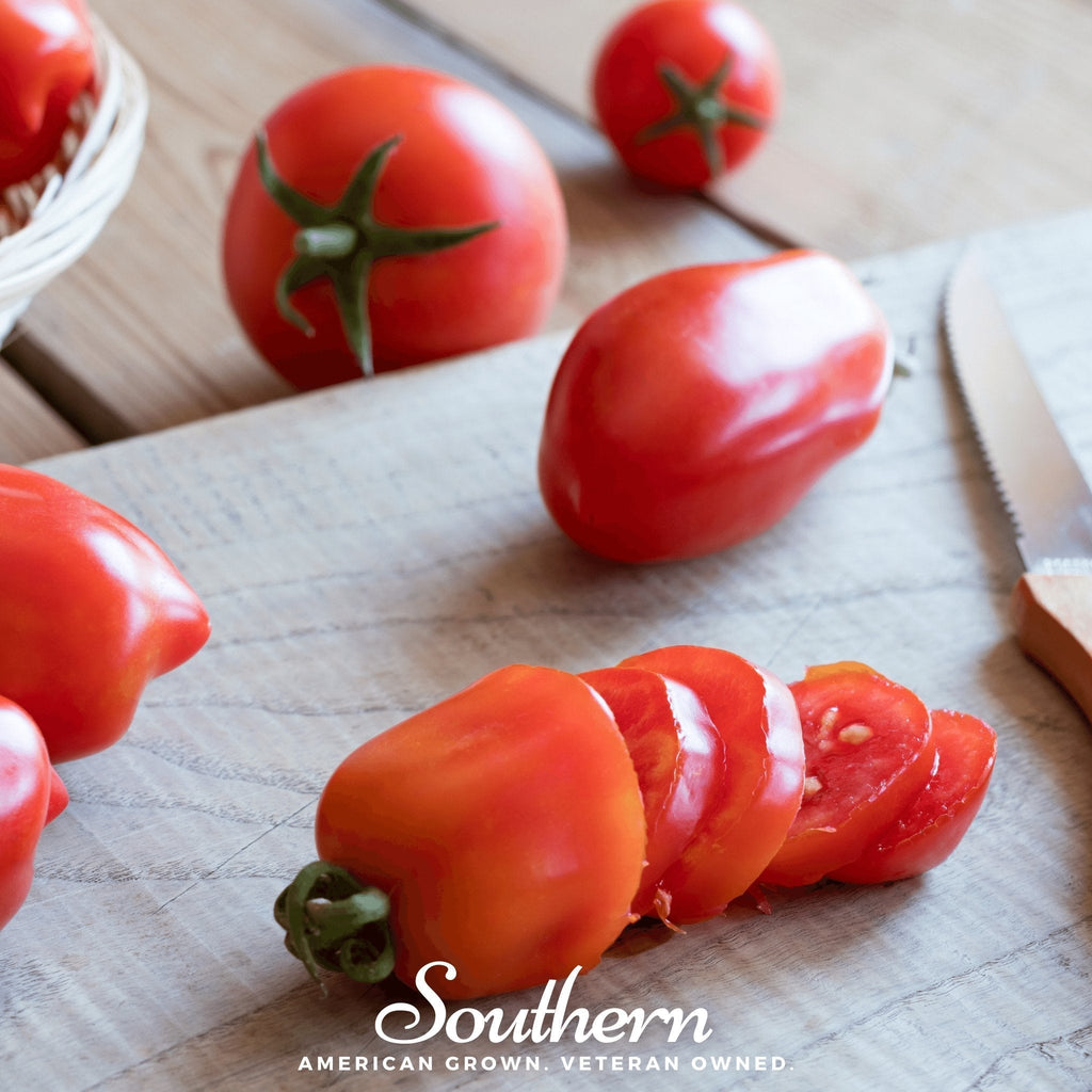 San Marzano Tomato – 50 Seeds Southern Seeds