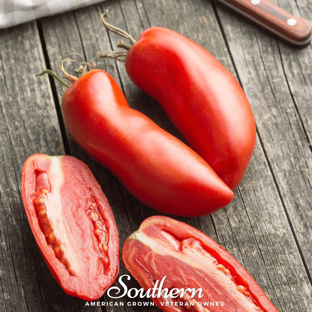 San Marzano Tomato – 50 Seeds Southern Seeds