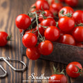 Small Red Cherry Tomato – 50 Seeds Southern Seeds