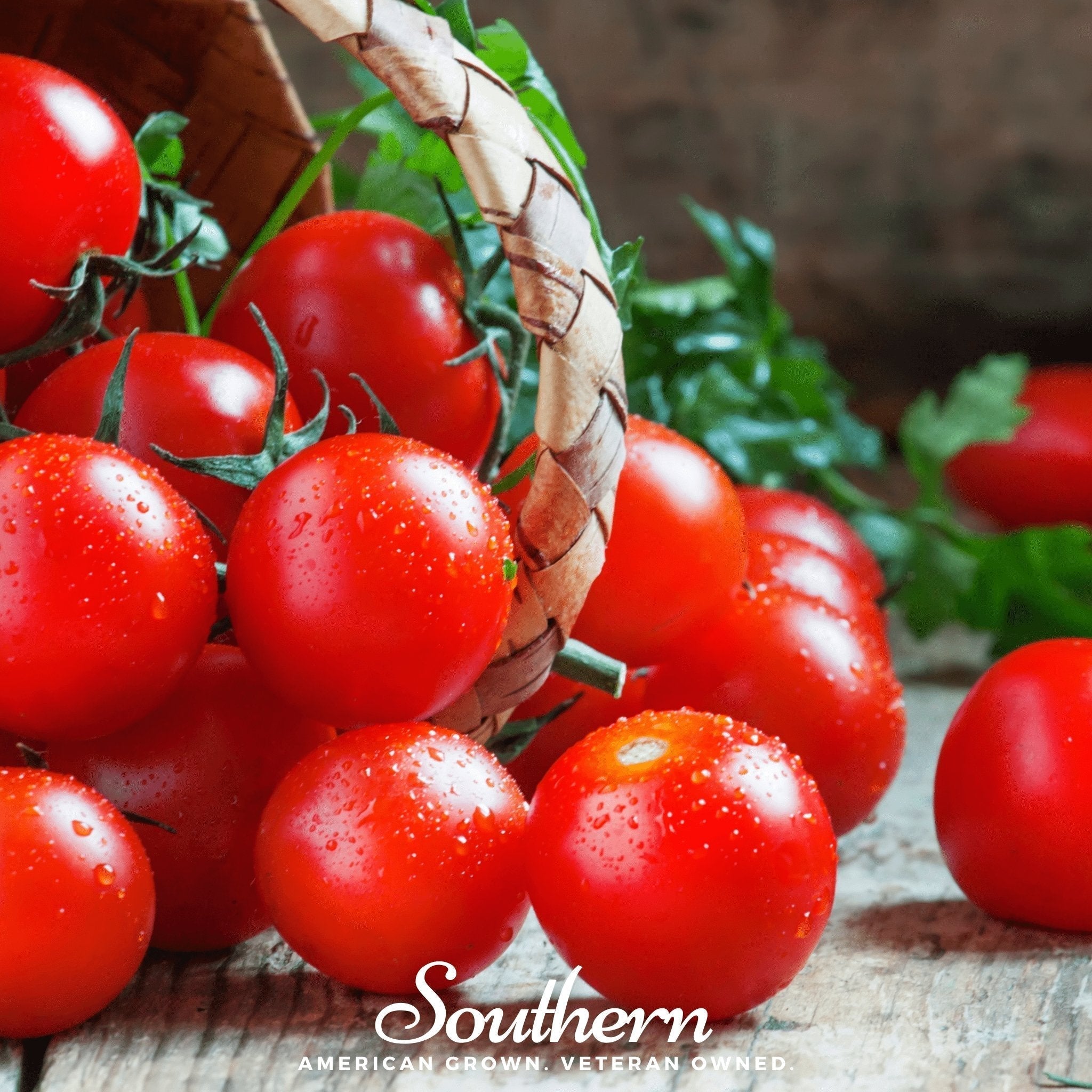 Small Red Cherry Tomato – 50 Seeds Southern Seeds