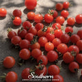 Sweetie Tomato – 50 Seeds Southern Seeds